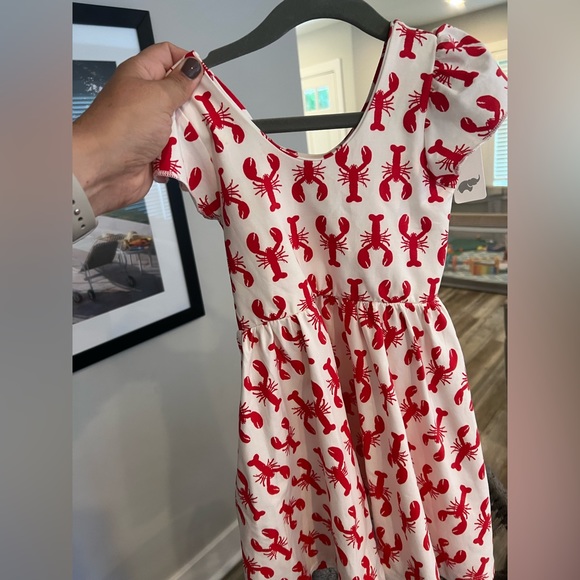 monica + andy Other - Brand new 4t lobster dress- Monica + Andy